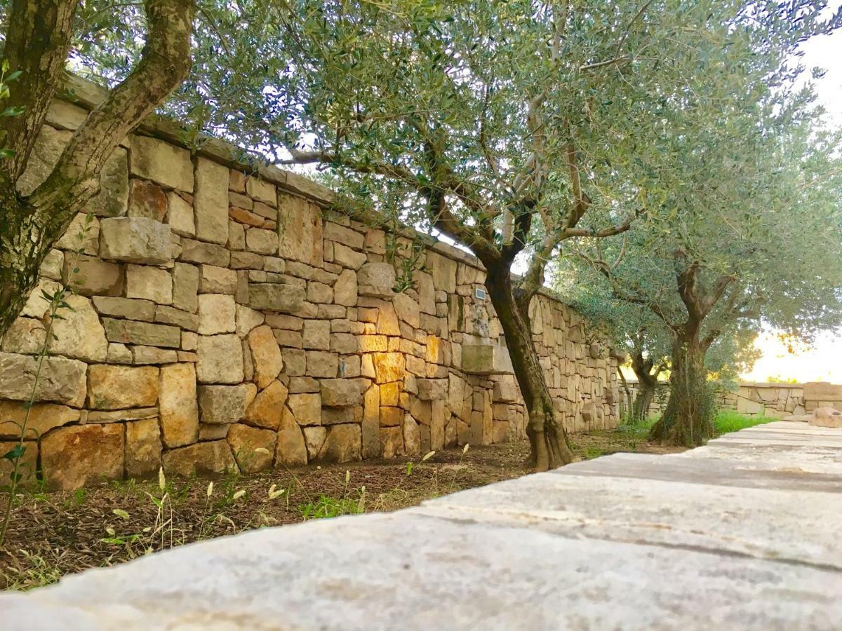 Lavender House Διαμέρισμα Maslenica Εξωτερικό φωτογραφία